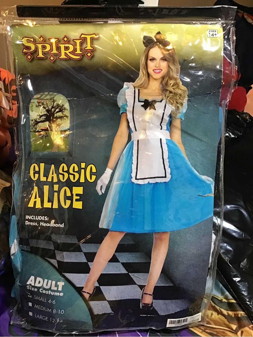 Classic Alice adult costume spirit Halloween size small 4-6